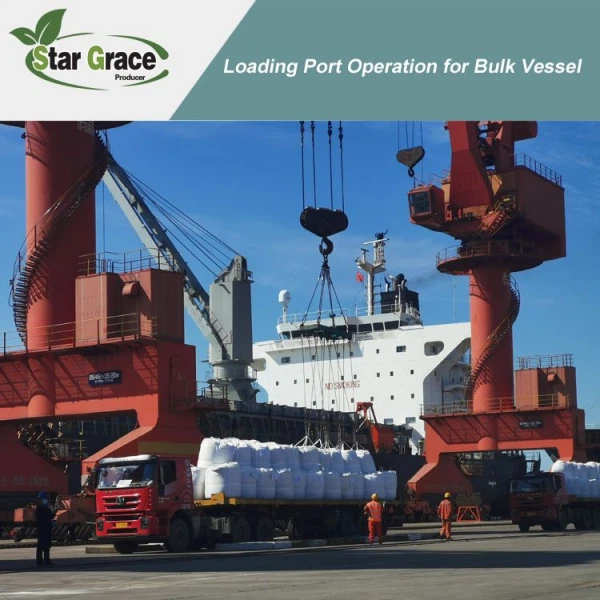 Break bulk2