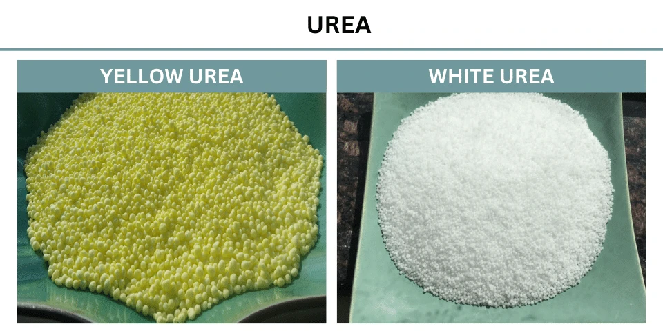 product-960-480 product-960-480
