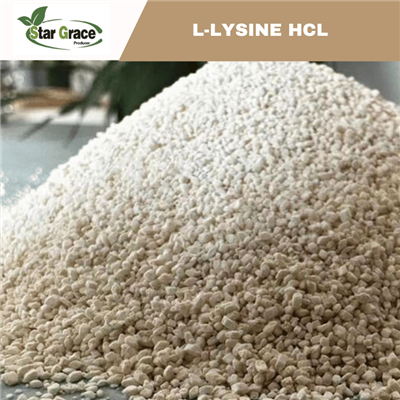 L-lysin HCL 98,5 %