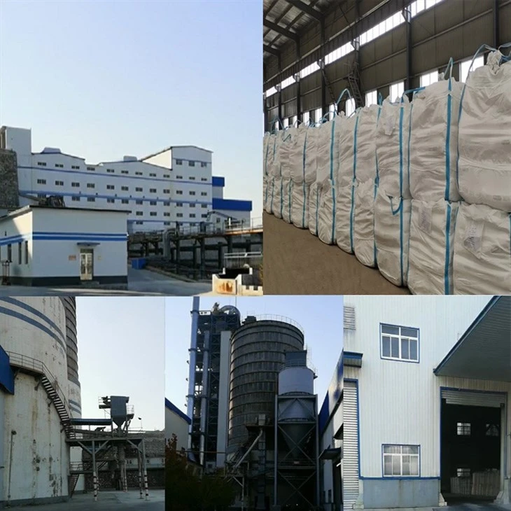 Magnesium Oxide To Egg in Portugal