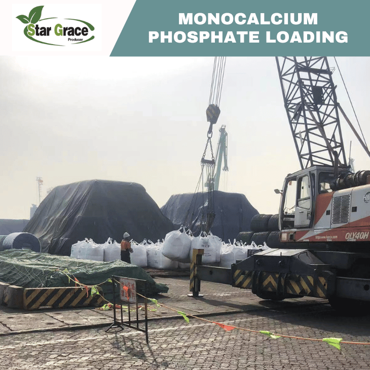 Monocalcium Phosphate in Poultry Feed