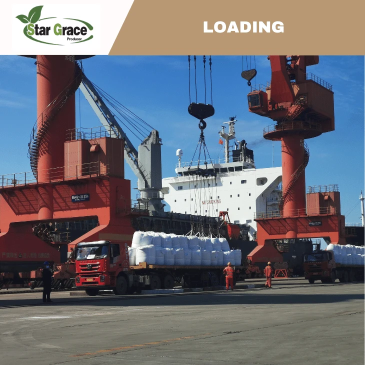 Lysine Chicken Feed