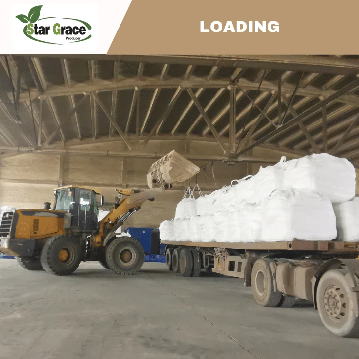 Lysine Sulphate Feed Grade