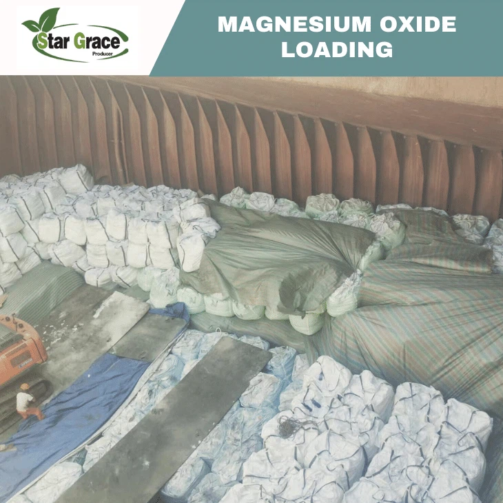 Magnesium Oxide Powder 80%