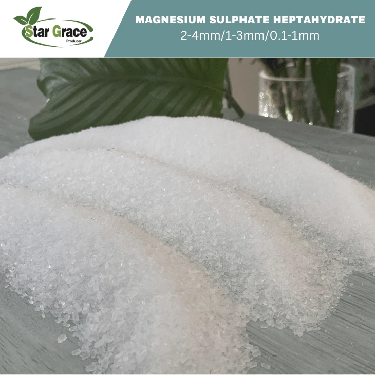 Magnesium Sulfate MgSO4 Epsom Salt