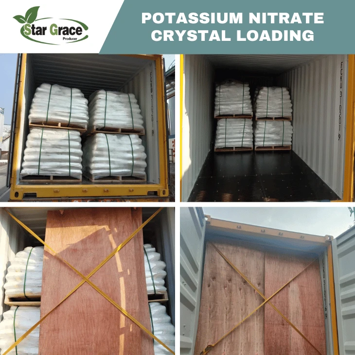 Potassium Nitrate As Fertilizer